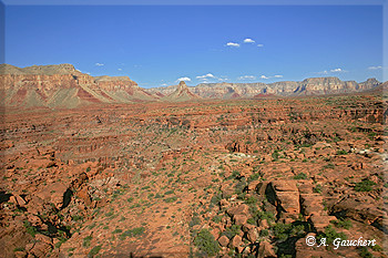 Umgebung oberhalb des Canyons